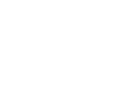 Receive a Custom Plan